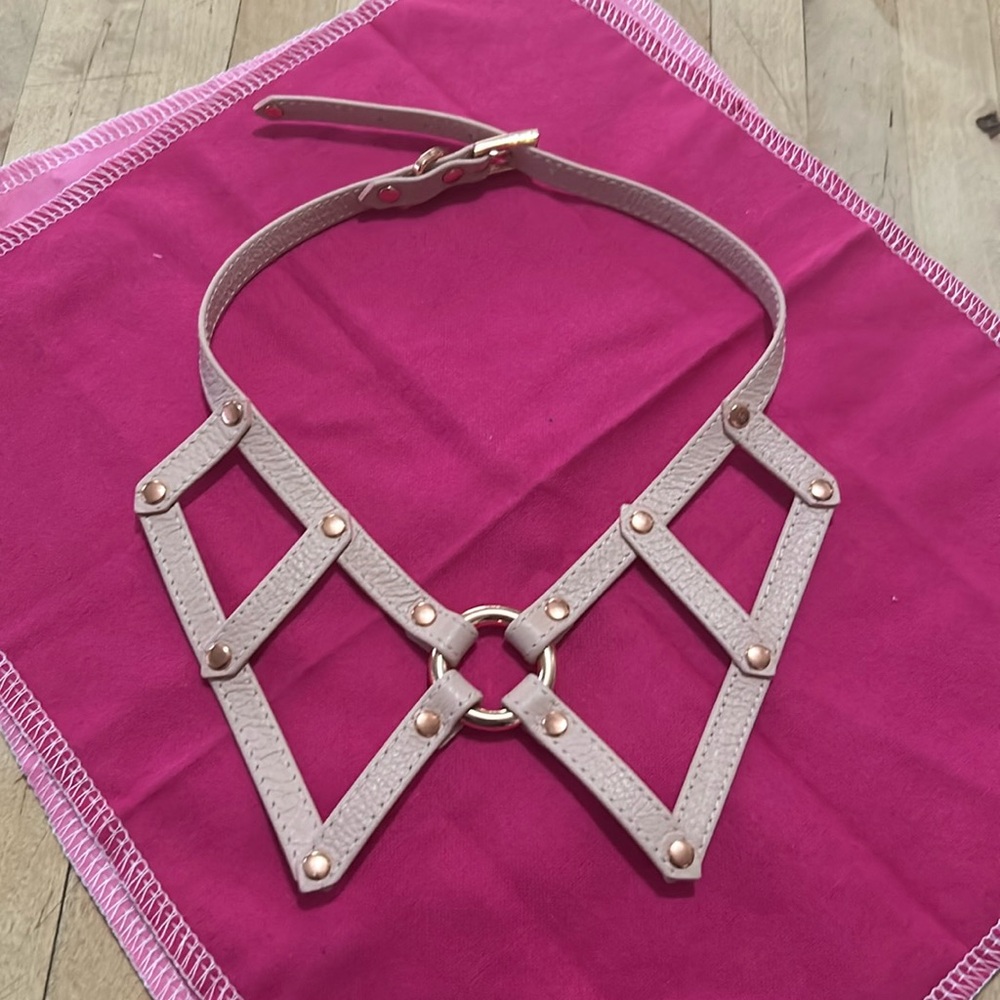 Leather chocker from notify in San Diego
